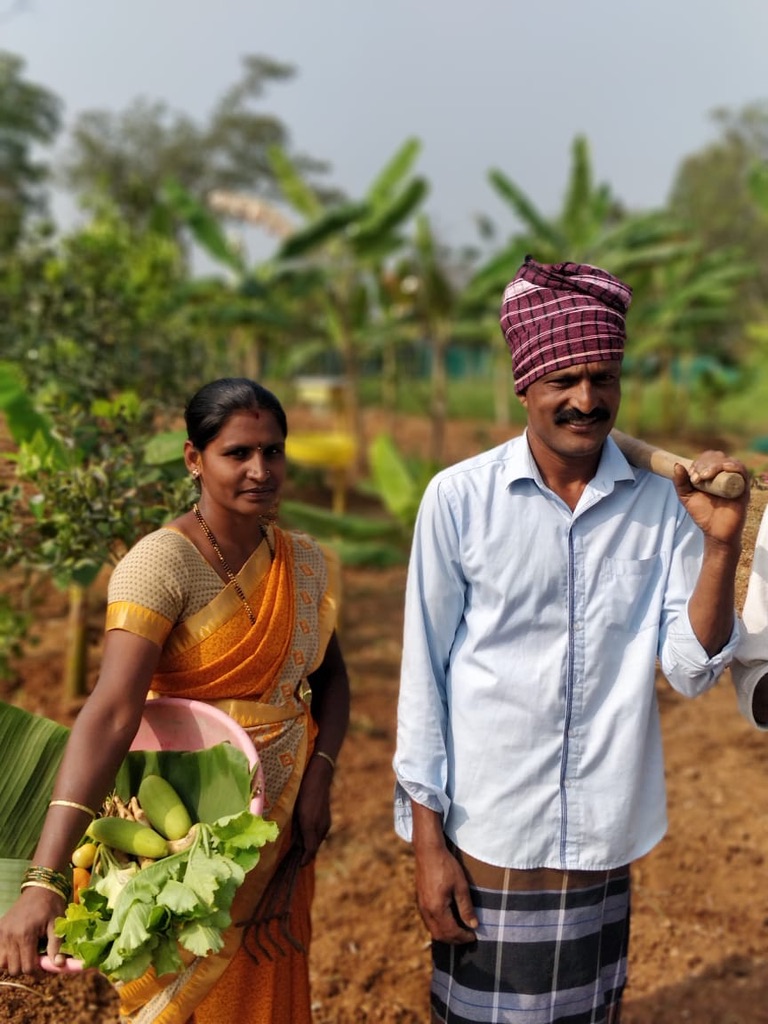 ಸಾವಯವ ತರಕಾರಿ ಕೊಯ್ಲು ಮಾಡುತ್ತಿರುವ ರೈತ ಕುಟುಂಬ